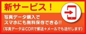 新サービス！